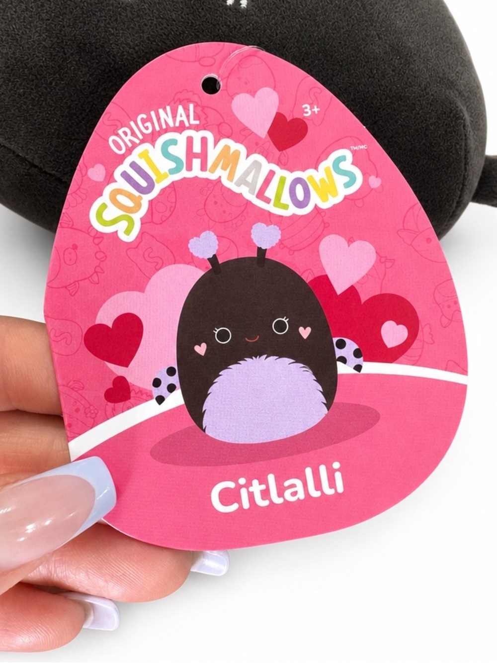 🧸 2/$38 SQUISHMALLOWS Citlalli 5" Plush NWT Kawaii Collectible Gift - Picture 4 of 6